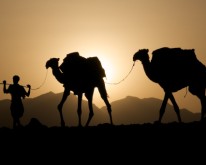 Salz Abbau in der Danakil