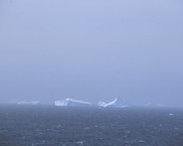 Antarktis_Dez01_151