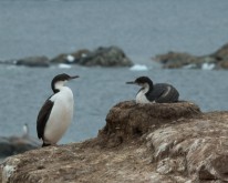 Antarktis_1607