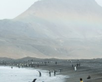 Antarktis_480