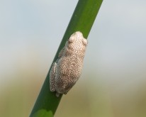 _DSC0330