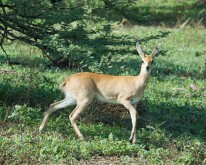 _DSC0467