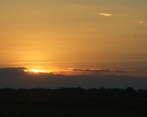 _DSC0503