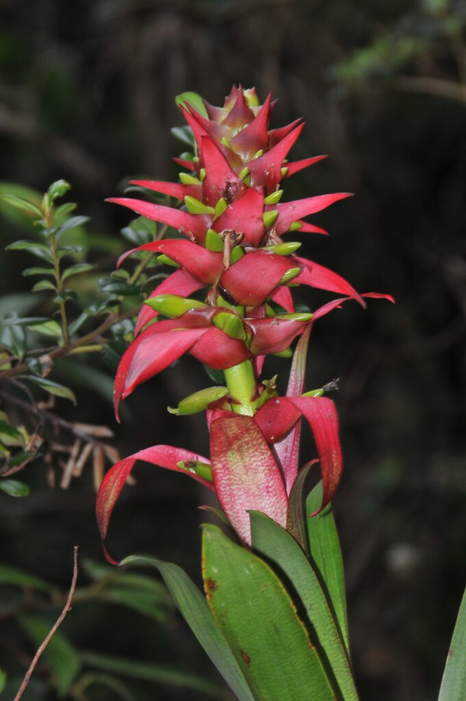 DSC_0142.jpg