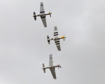 _DSC2074