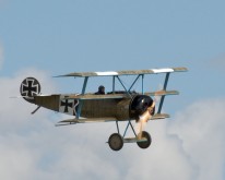 _DSC3194