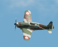 _DSC3249