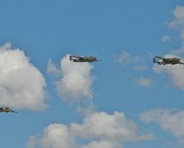 _DSC3267