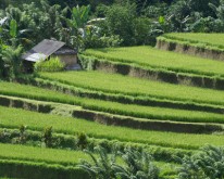 Indonesien 2010