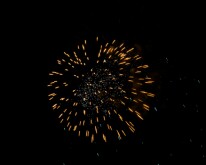 DSC_1955
