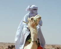 BILD76