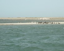 DSCN0011