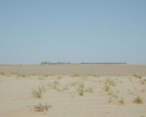 DSCN0022