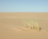 DSCN0023