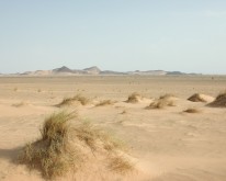 DSCN0038