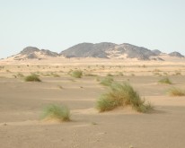 DSCN0040