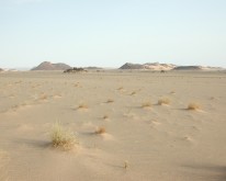 DSCN0044