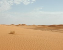 DSCN0121