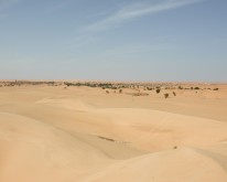 DSCN0124