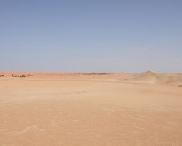 DSCN0128