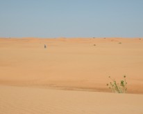DSCN0136