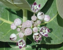 DSCN0138