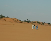 DSCN0147