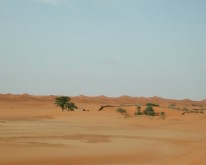 DSCN0150