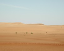 DSCN0153
