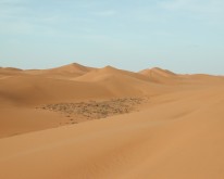 DSCN0158