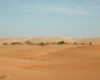 DSCN0159