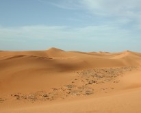 DSCN0161
