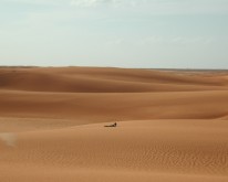 DSCN0164