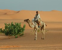 DSCN0170