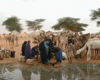 DSCN0192