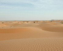 DSCN0197