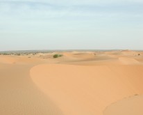 DSCN0199