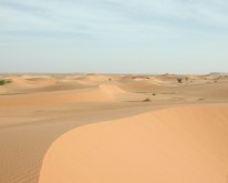 DSCN0201