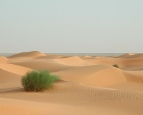 DSCN0204