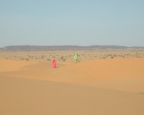 DSCN0211