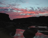 DSCN0221
