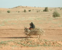 DSCN0232