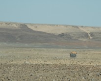 DSC_0156