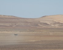 DSC_0157