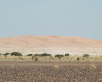 DSC_0169