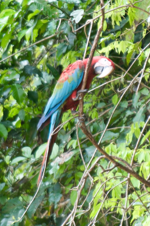 DSC_5949.jpg