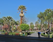 IMG_0277