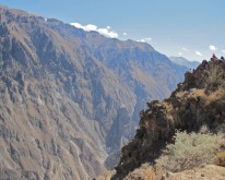 IMG_0306