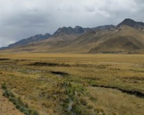 IMG_0492