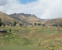 IMG_0519